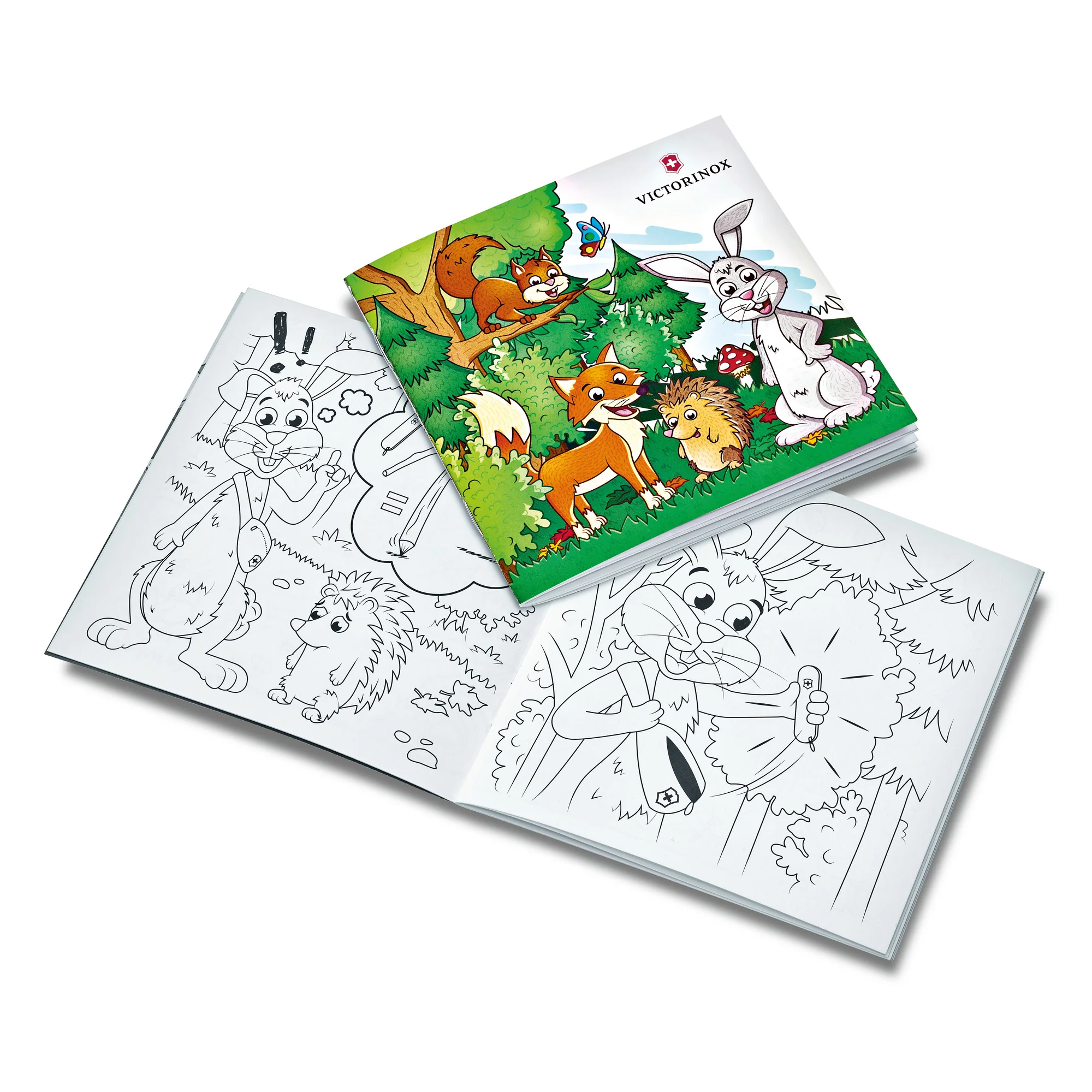 Miniatura 6
