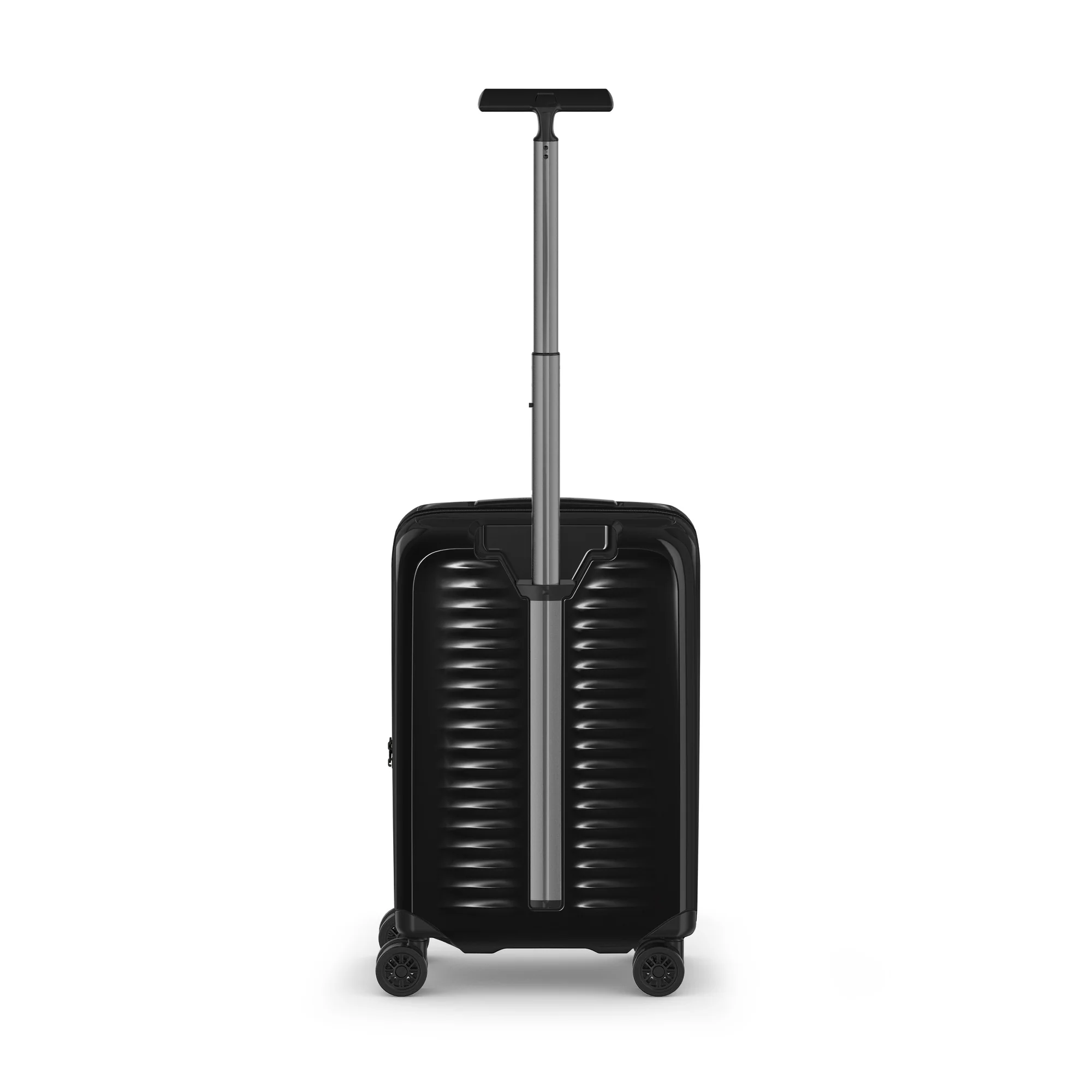 Miniatura 11
