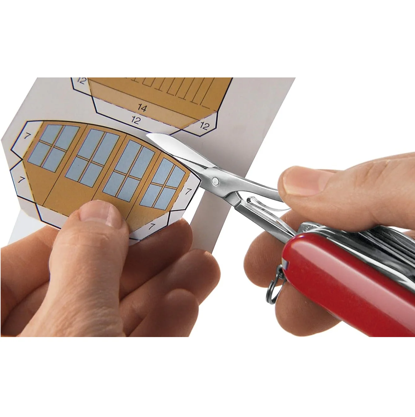 Miniatura 6