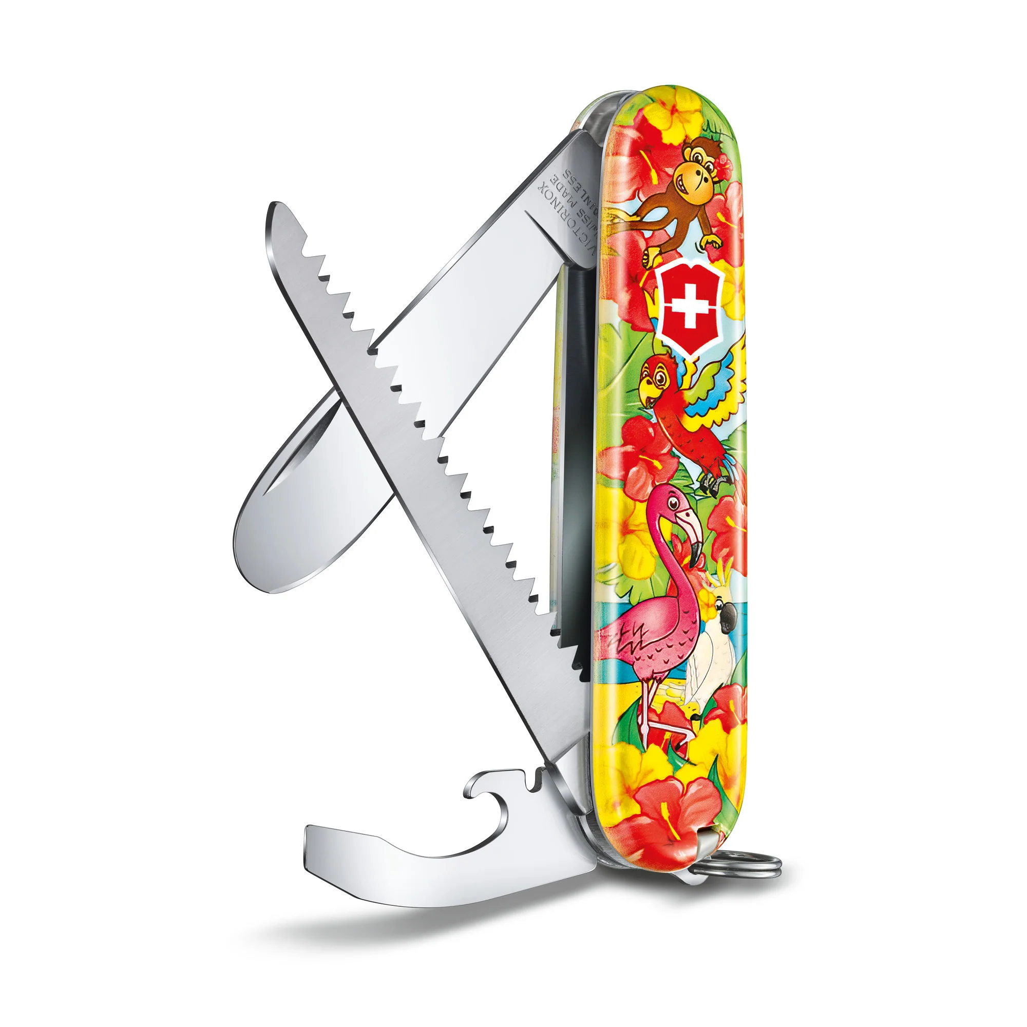 Miniatura 6