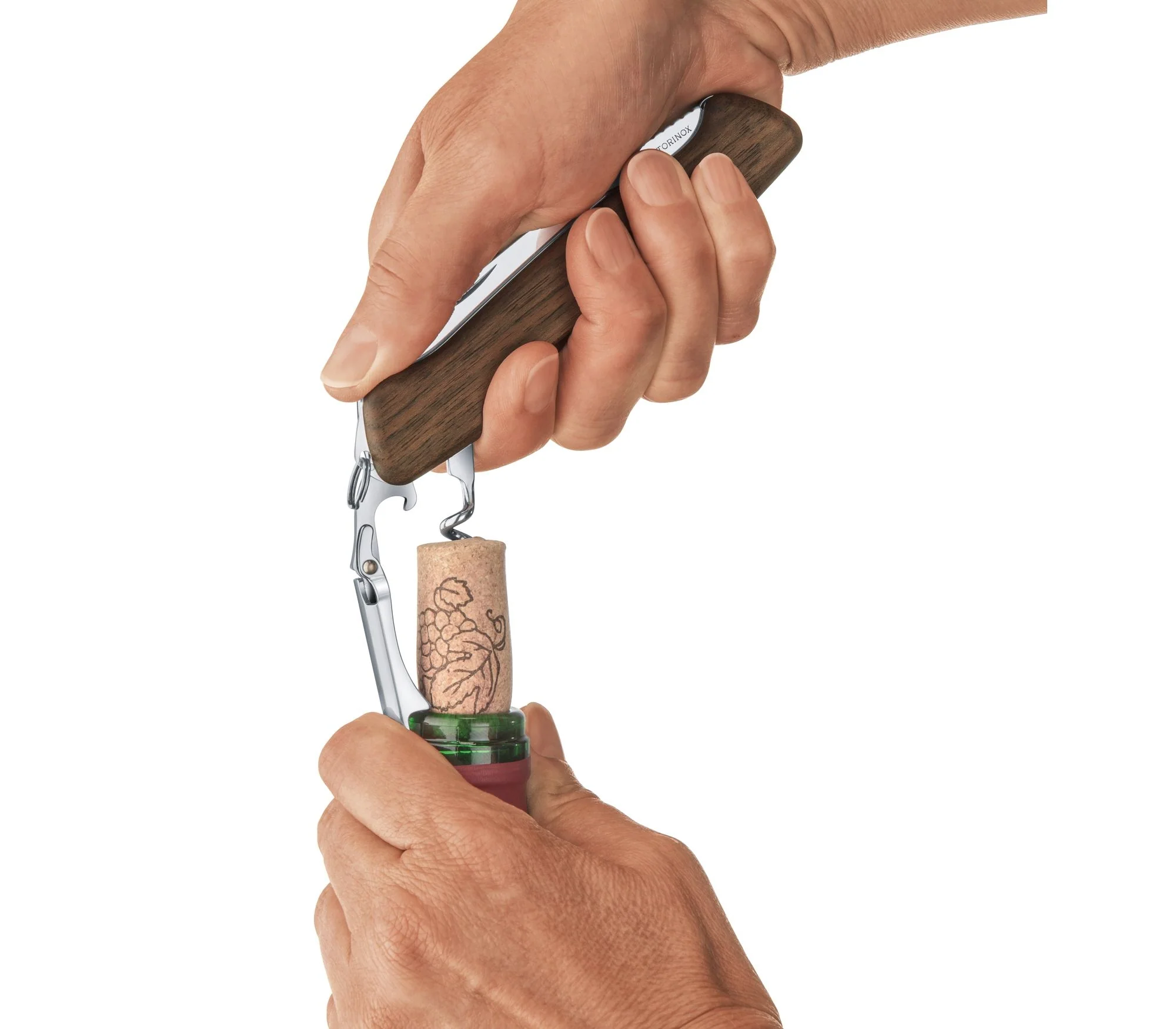 Miniatura 11
