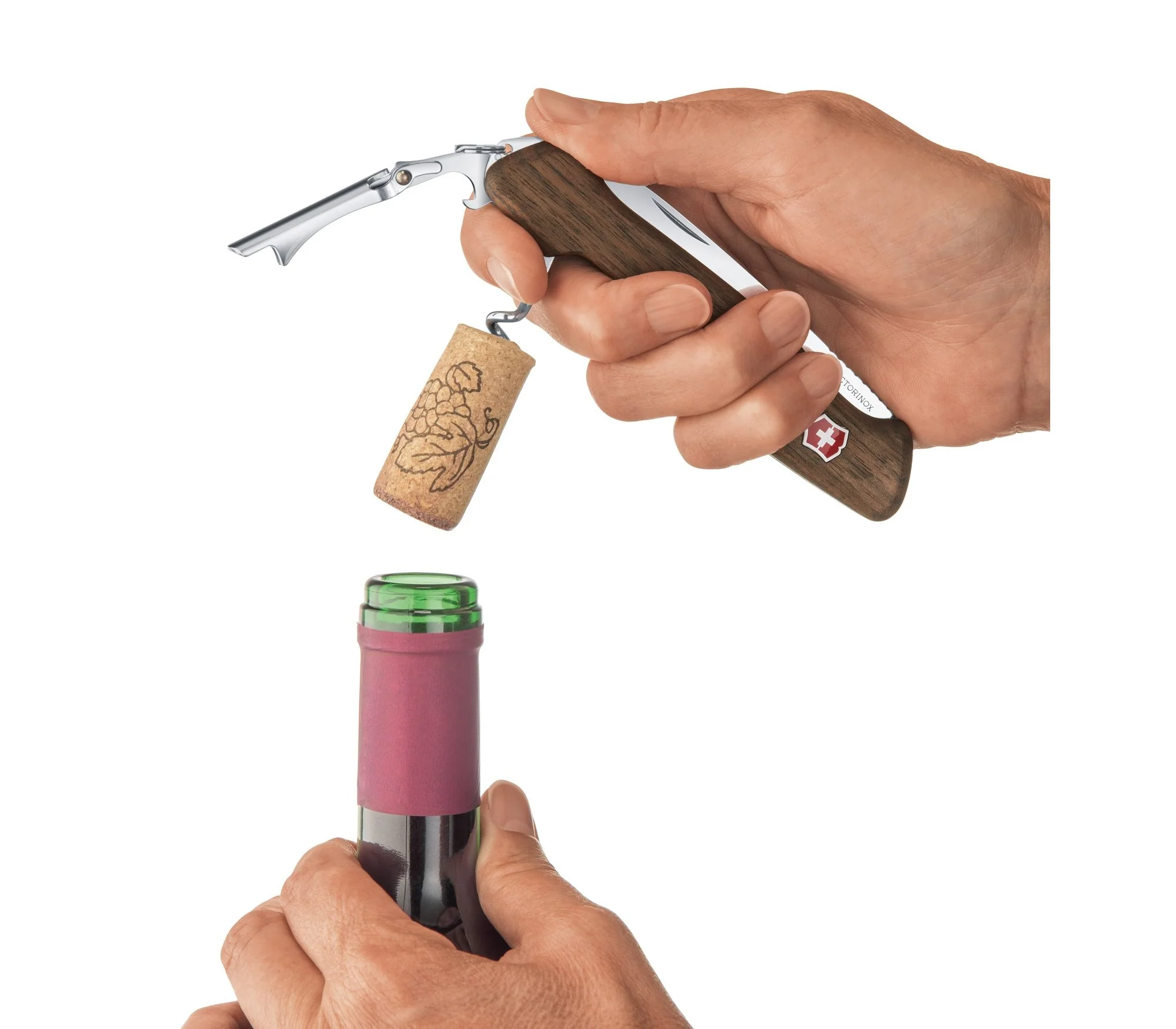 Miniatura 12