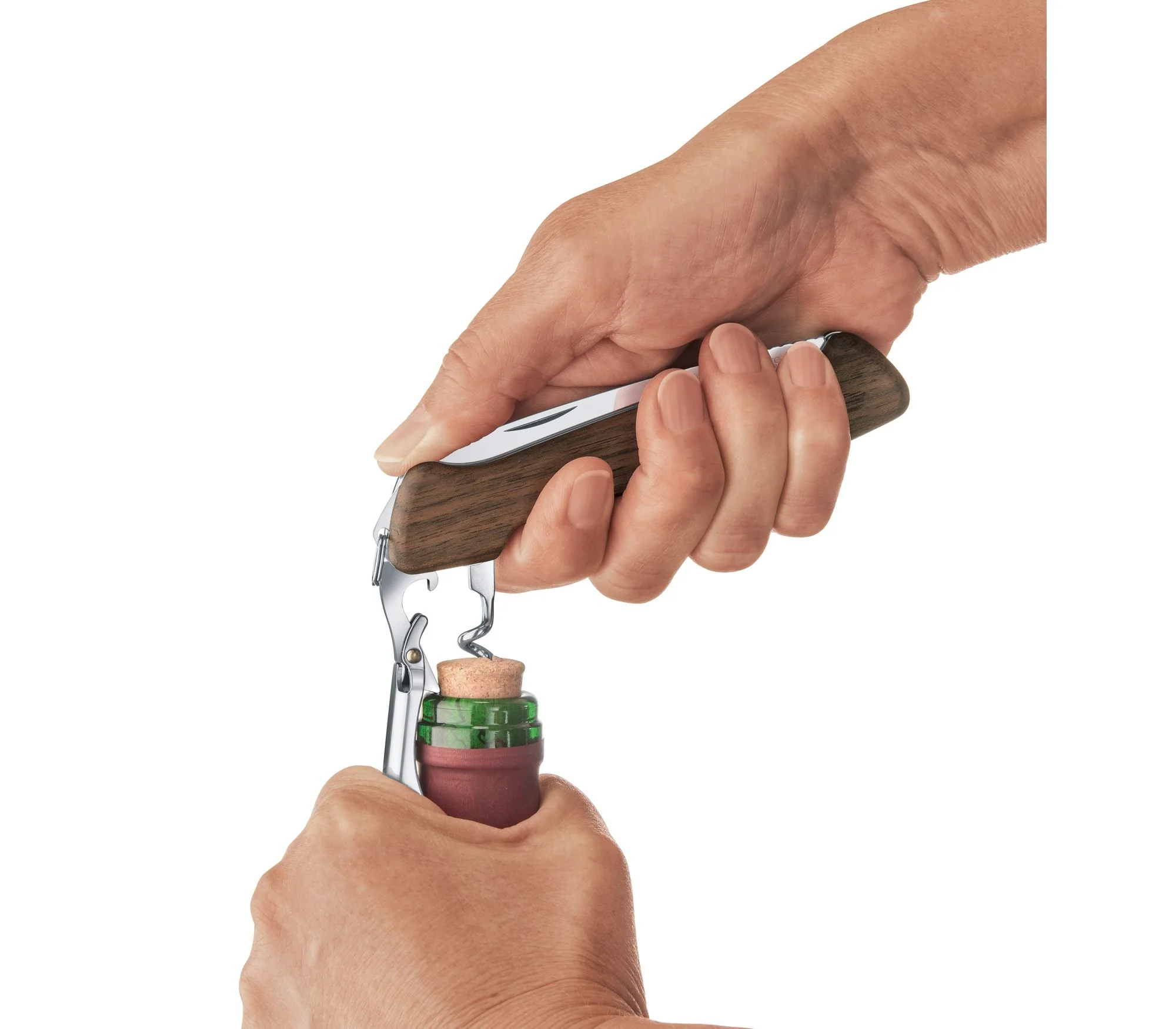 Miniatura 9